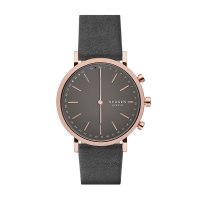 Skagen Wearables Hald